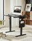 Standing Desk Adjustable Height,‎48x24 Inch Electric Standing Desk, Stand up Desk with Storage Bag,Headphone Hook for Computer Workstations Desk Memory Preset